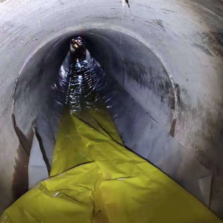 马尾管道光固化修复